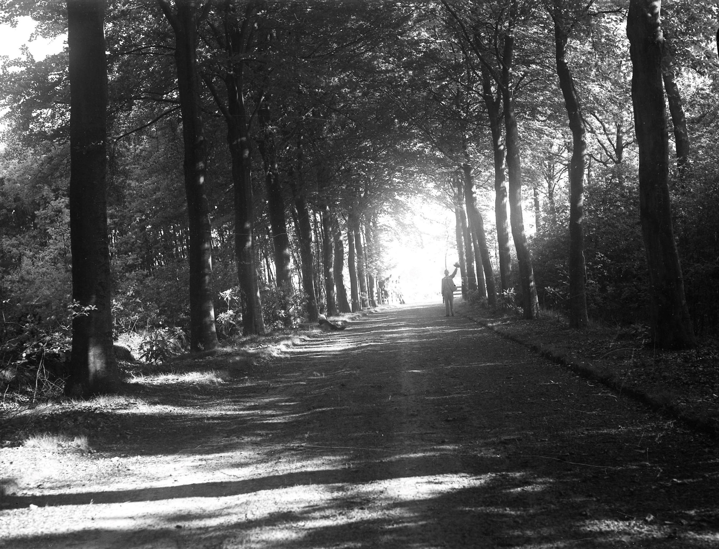 Drie generaties Gimbrère: een familiegeschiedenis vastgelegd