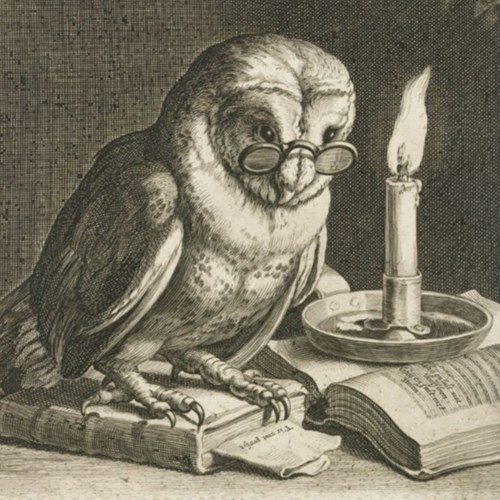 T.J.M. (Dick) Hogenhout