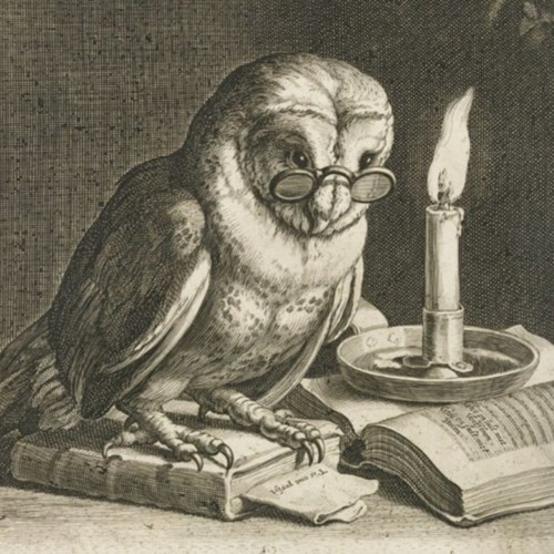André van Noort