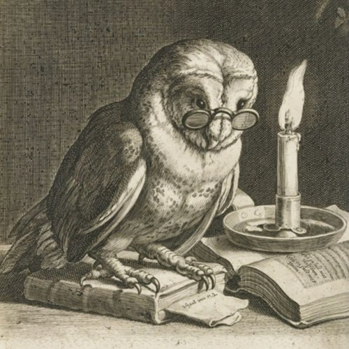 Stefan Kortrijk